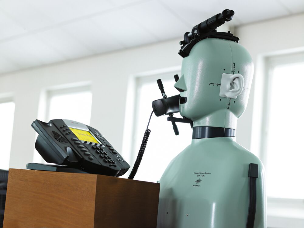 B&K Type 4128 - Head and Torso Simulator (HATS) - Image 2