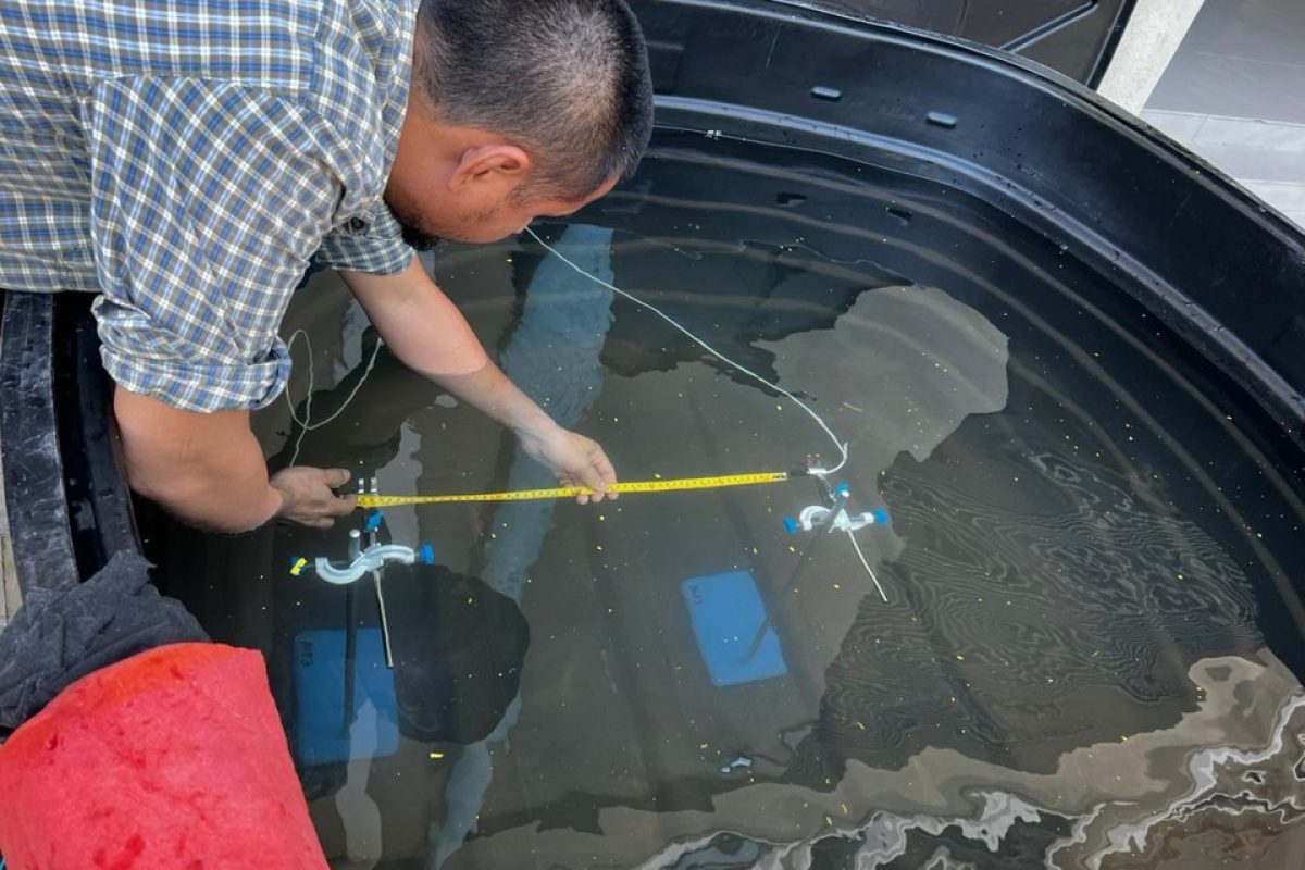 Underwater Vibration and Acoustics Monitoring4